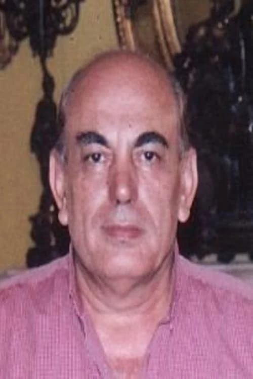 Abdel Aziz Elsokkary